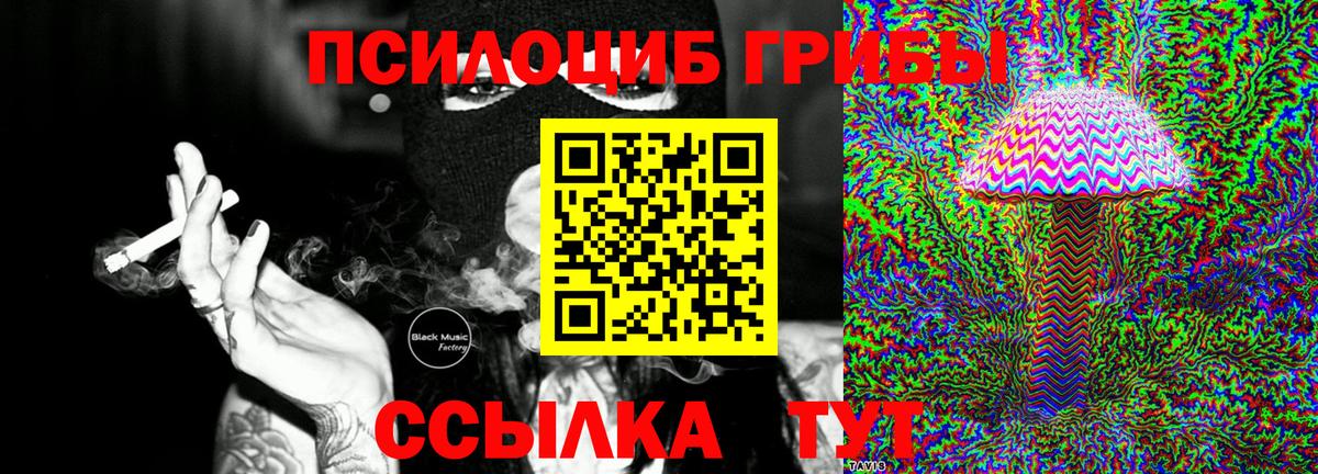 Кушва  Галлюциногенные грибы Psilocybine cubensis  Вход с VPN  Галлюциногенные грибы ЛСД 